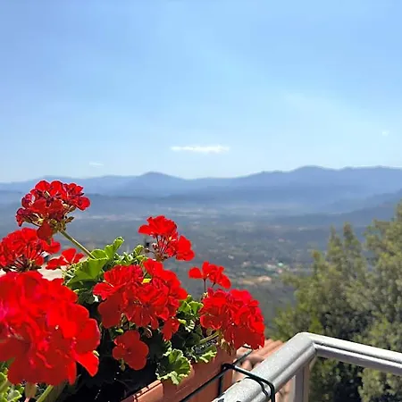 Selvaggio Blu