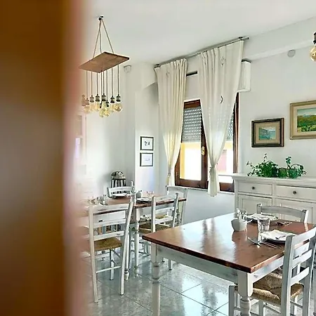 Couette-café Selvaggio Blu