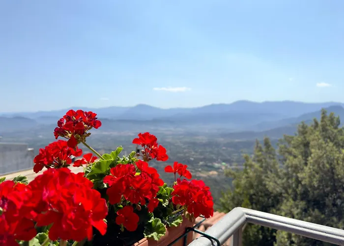 Couette-café Selvaggio Blu